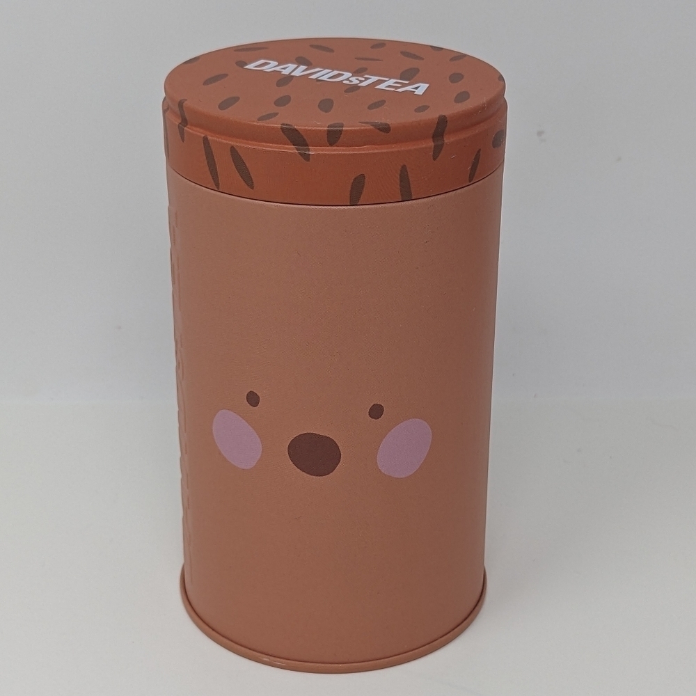 David's Tea Hedgehog Tin Empty